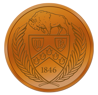 Buffalo Blue Sky bronze coin