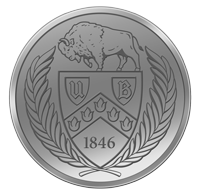 Buffalo Blue Sky silver coin